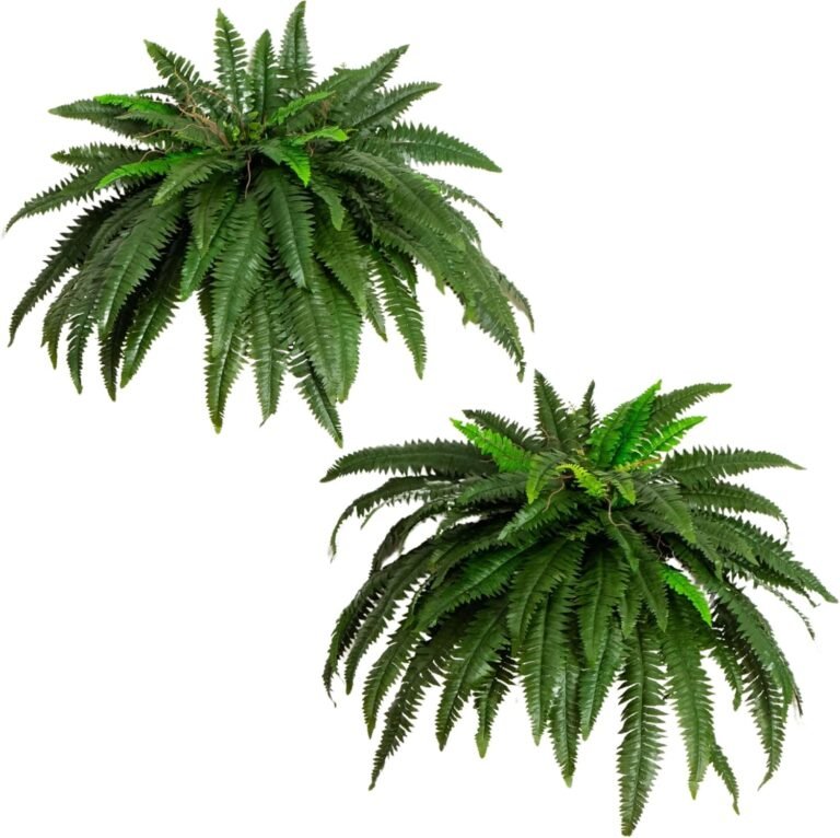 Artificial Fern: 7 Ultimate Steps For Amazing 2026 Home Decor 1 81LMdmiZXL. AC SL1500 Home Fix Labs