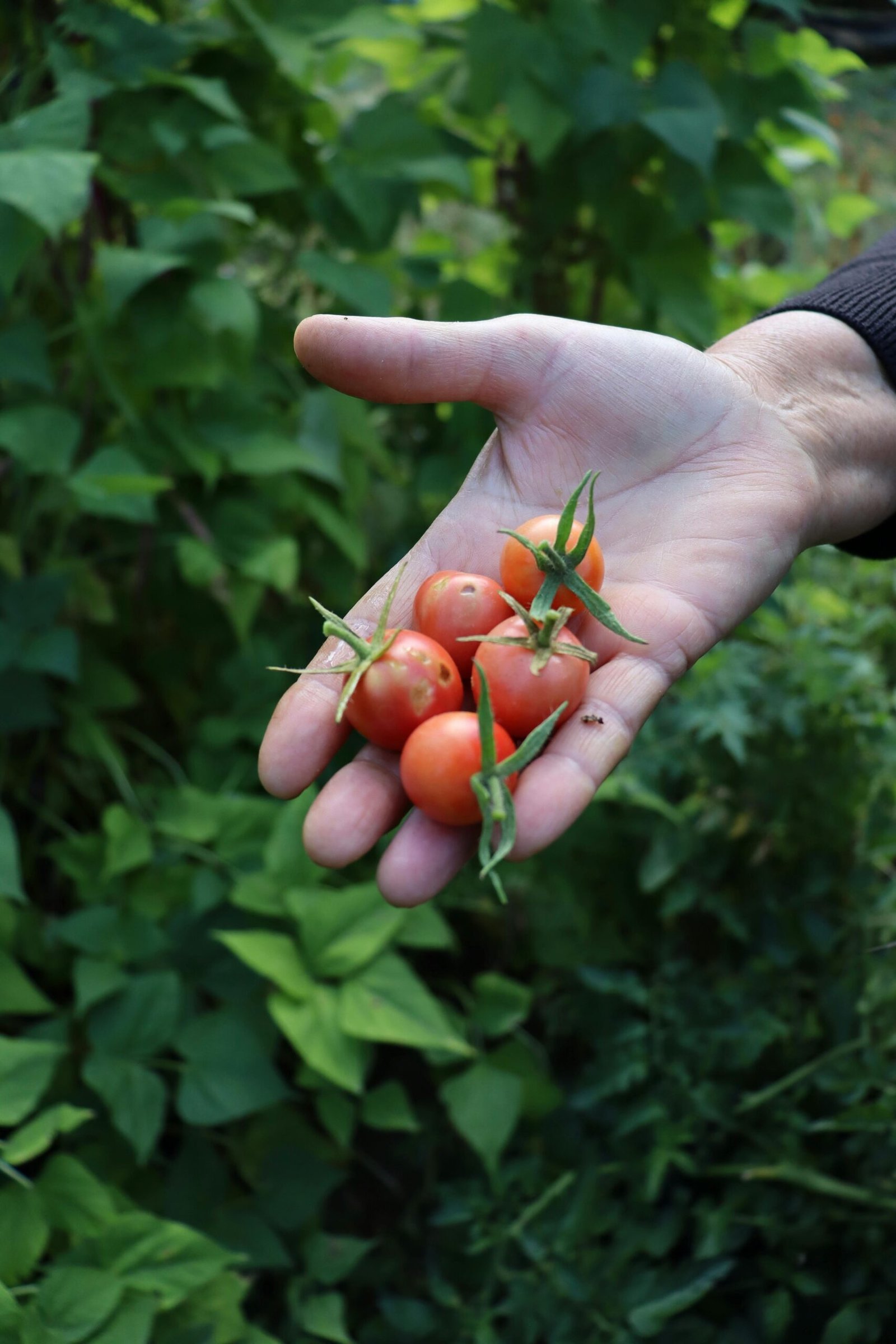 pexels iremnurozturk 28827634 scaled Home Fix Labs