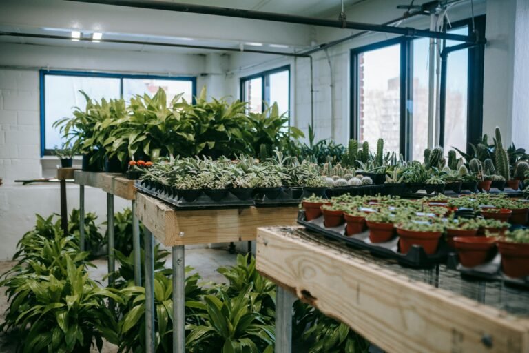 pexels teona swift 6913651 Home Fix Labs