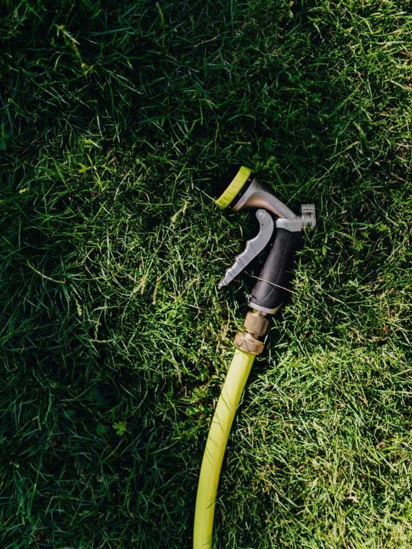 pexels-karola-g-4870743 pexels-karola-g-4870743